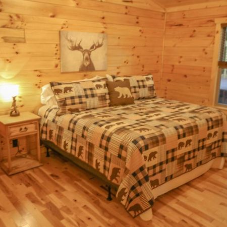 210 Cubs In The Treetops - Luxurious Cabin In Gatlinburg Exterior photo