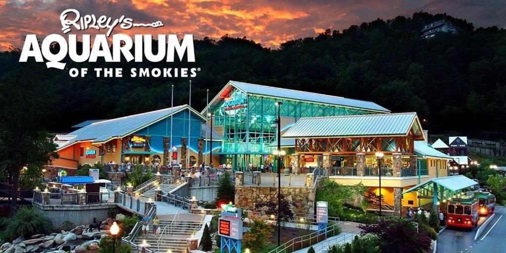 210 Cubs In The Treetops - Luxurious Cabin In Gatlinburg Exterior photo